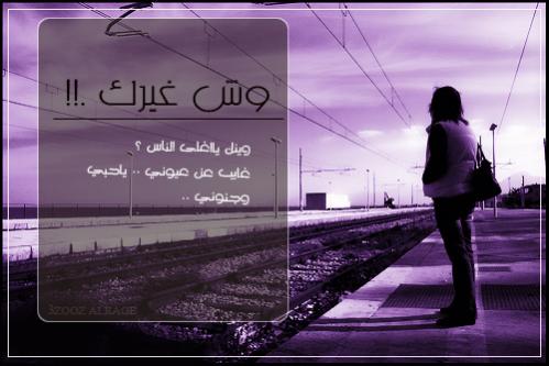 pp7sc4eiq0lv