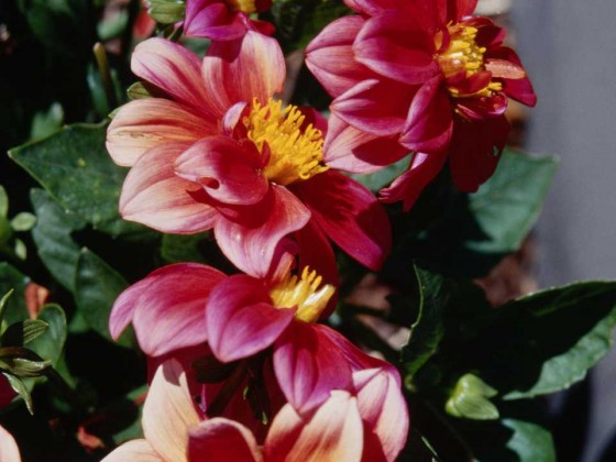 PTBL0059