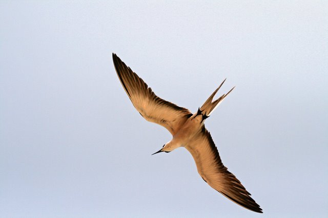 صور من ابداع اعضاء عمان فوتو