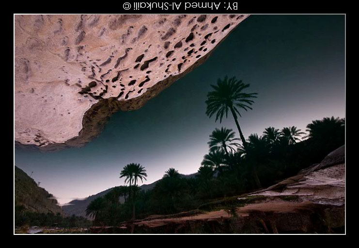 صور من ابداع اعضاء عمان فوتو
