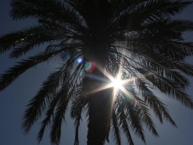 صور من ابداع اعضاء عمان فوتو