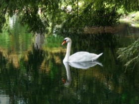 صور منوعة من الإنترنت