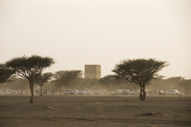 صور من ابداع اعضاء عمان فوتو