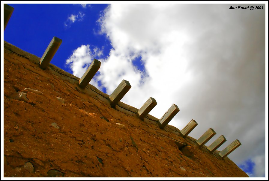 صور من ابداع اعضاء عمان فوتو