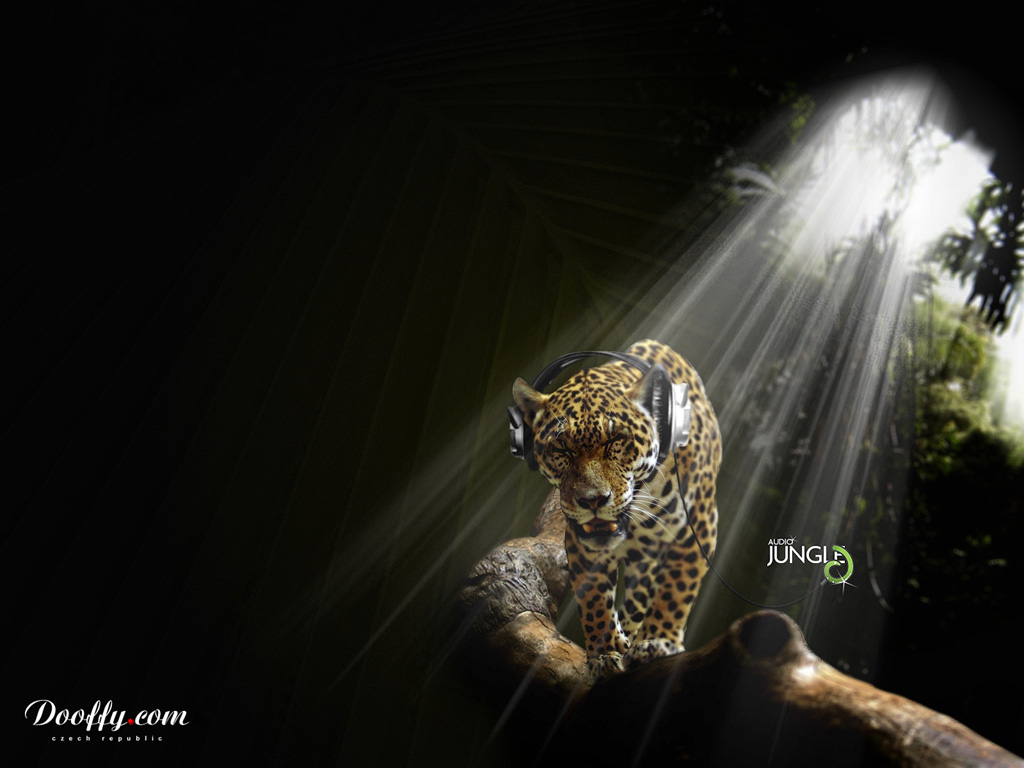Rattling_1_48_
