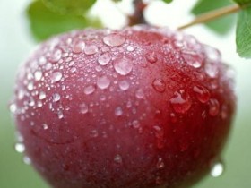 untitled_1_