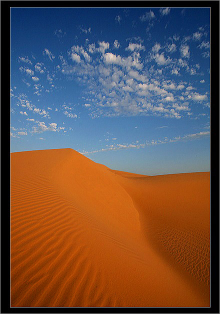 صور من ابداع اعضاء عمان فوتو