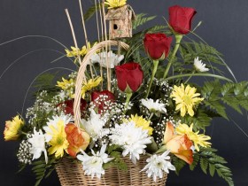 صور من ابداع اعضاء عمان فوتو
