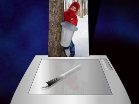 صور منوعة من الإنترنت