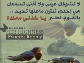 0131111201510sz2yc8o1f