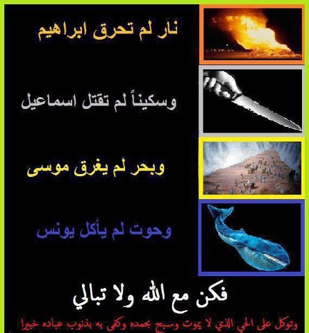 488039_581010198576500_974451479_n