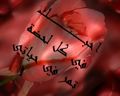 عديل الروح