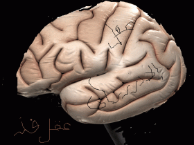 عقل الانسان