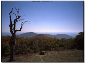 Nature103-sooar_org_1_