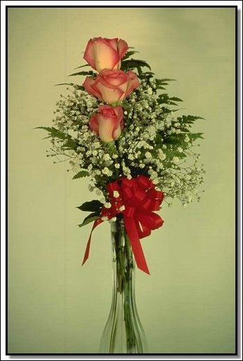 Roses103-sooar_org_1_