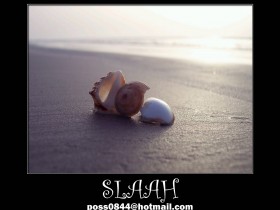 صور من ابداع اعضاء عمان فوتو