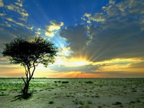 صور من ابداع اعضاء عمان فوتو
