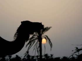 صور من ابداع اعضاء عمان فوتو