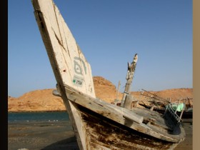 صور من ابداع اعضاء عمان فوتو