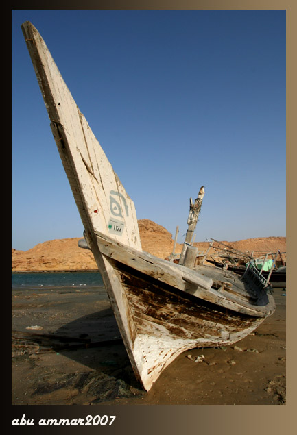 صور من ابداع اعضاء عمان فوتو
