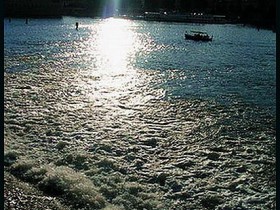 صور منوعة من الإنترنت