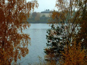 صور منوعة من الإنترنت