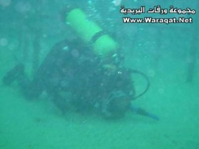 qawas-y9aly3