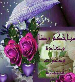 9d524b1134664b72e570df0feddd275b