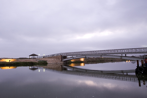 صور من ابداع اعضاء عمان فوتو