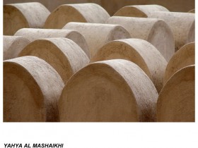 صور من ابداع اعضاء عمان فوتو
