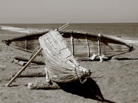 صور من ابداع اعضاء عمان فوتو