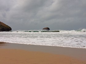 صور منوعة من الإنترنت