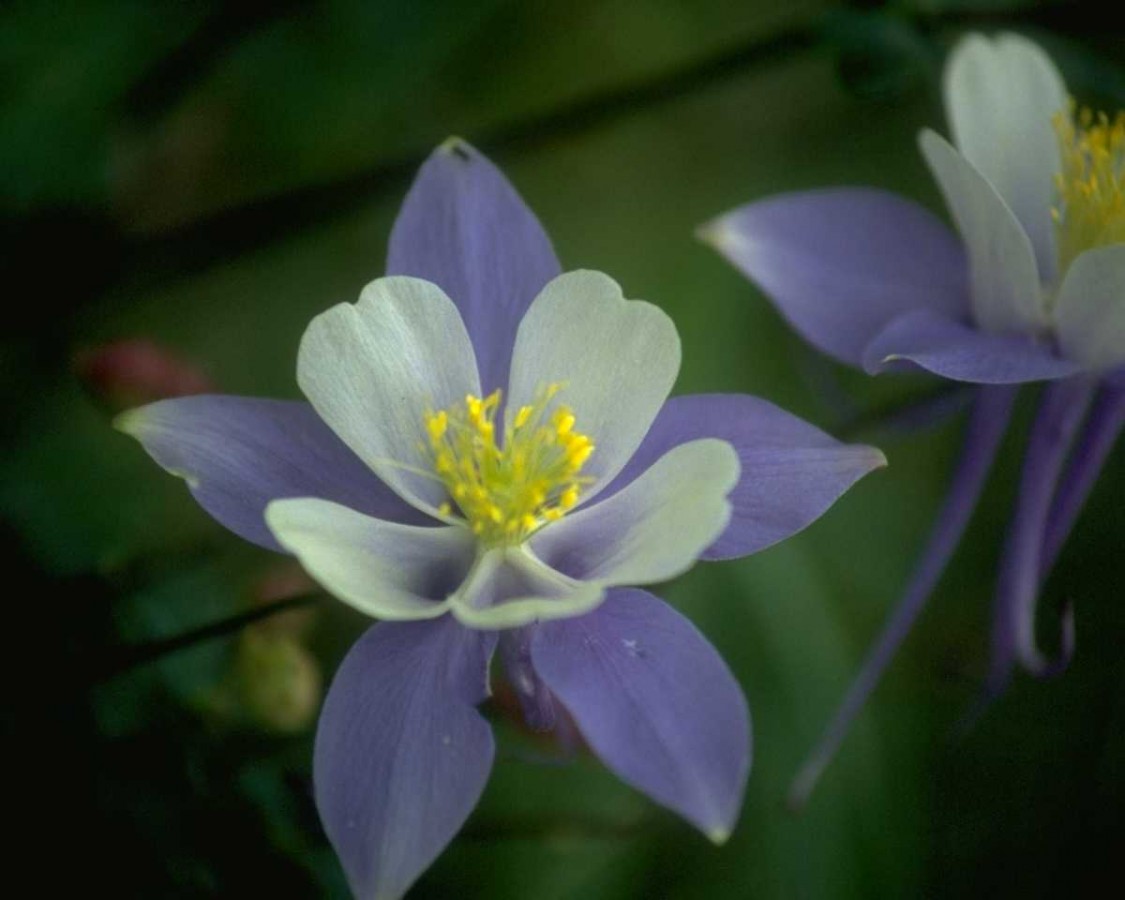 PTBL0132