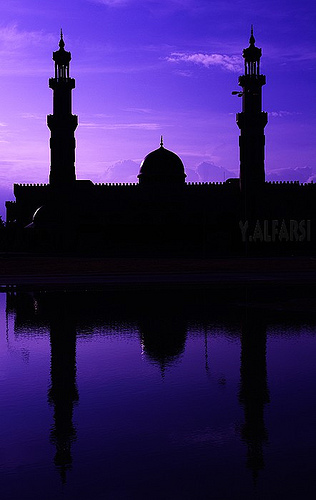 صور من ابداع اعضاء عمان فوتو