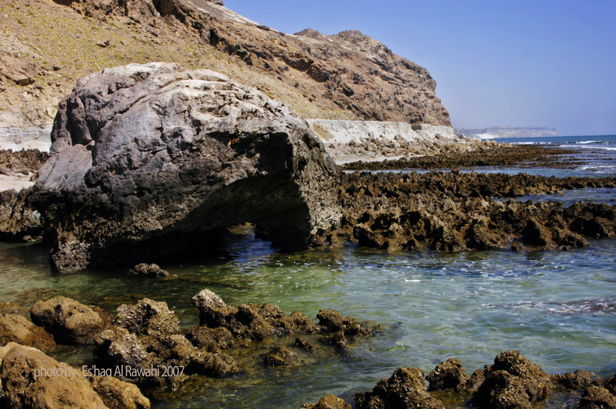 صور من ابداع اعضاء عمان فوتو