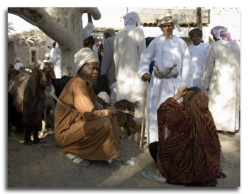 صور من ابداع اعضاء عمان فوتو