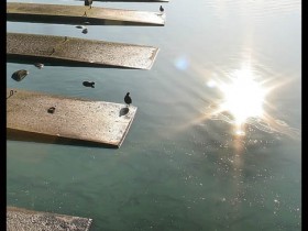 صور منوعة من الإنترنت