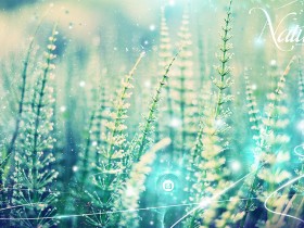Nature_by_wirestyle