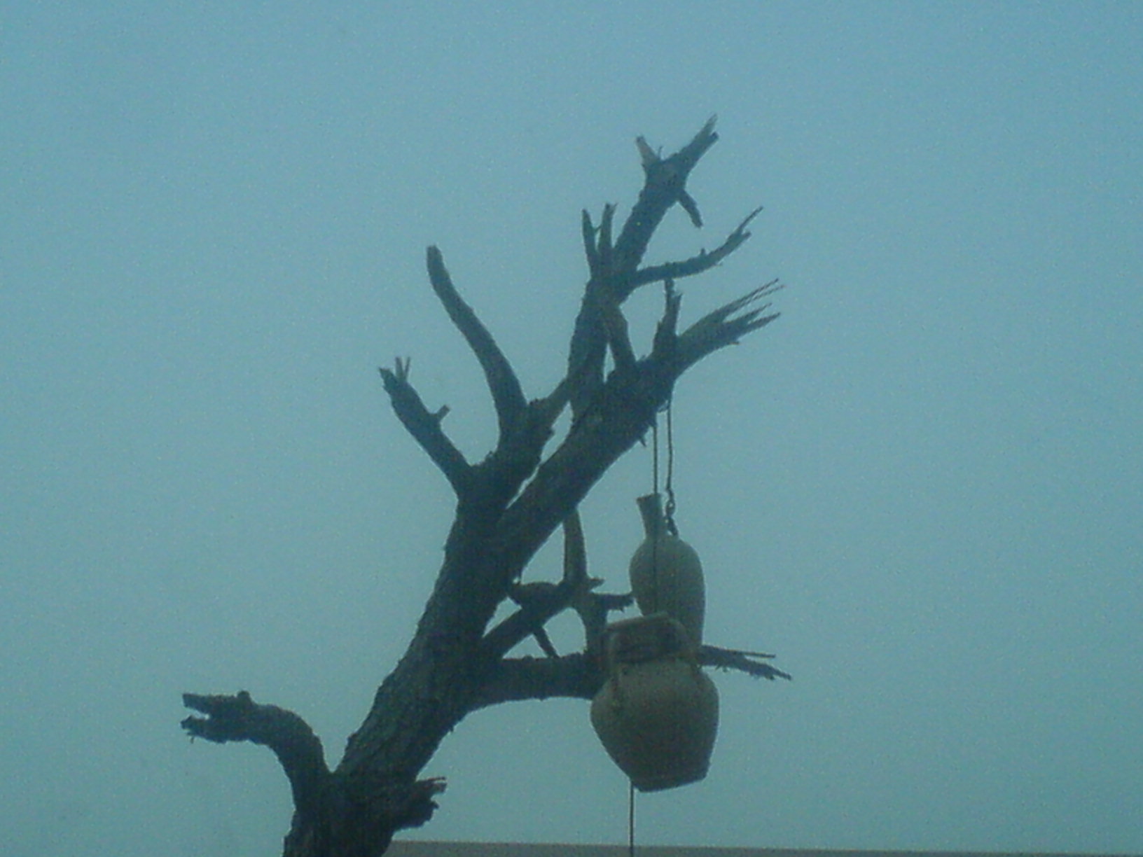 DSC00552