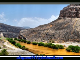 صور من ابداع اعضاء عمان فوتو