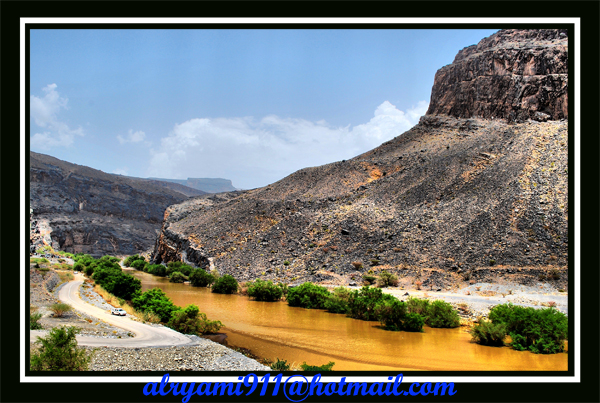 صور من ابداع اعضاء عمان فوتو