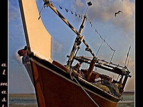 صور من ابداع اعضاء عمان فوتو