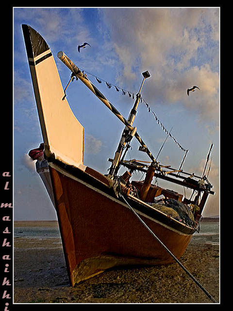 صور من ابداع اعضاء عمان فوتو