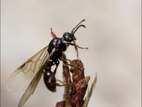 صور منوعة من الإنترنت