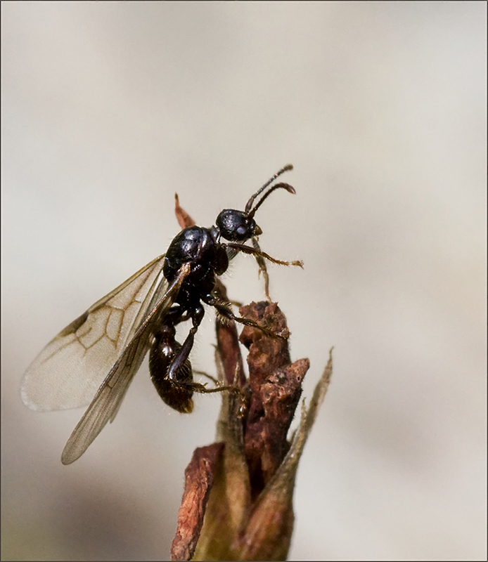 صور منوعة من الإنترنت