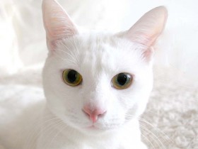 صور منوعة من الإنترنت