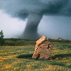 t5736