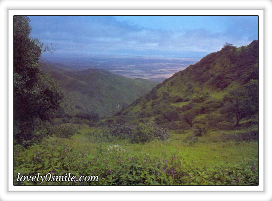 Oman-04