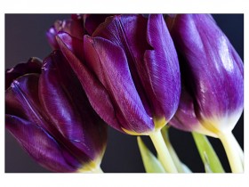 1699685-8d815461ebd72682_2_