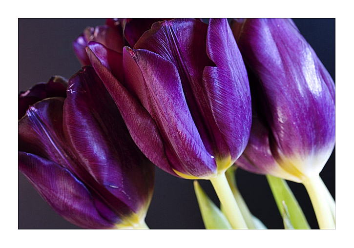 1699685-8d815461ebd72682_2_